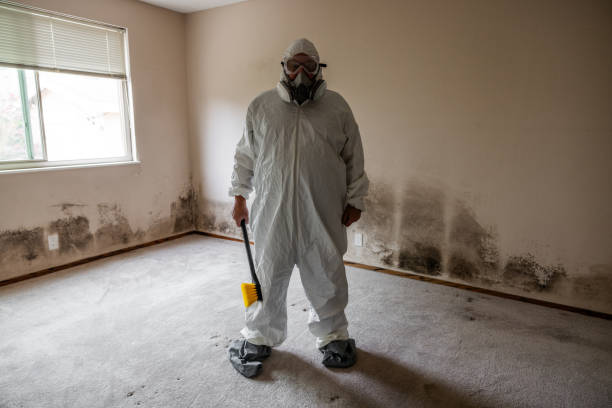 Attic Mold Removal in Murfreesboro, NC